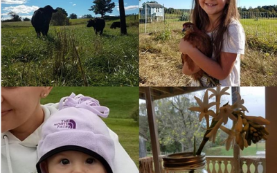 This Week on the Farm