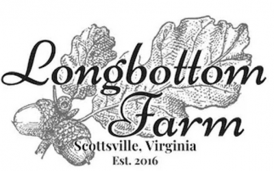 Our New Logo and Going Live!!