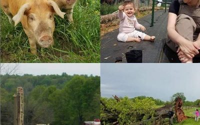 Last Week on the Farm (‘Cause I’m Always Late)…