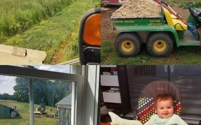 This Week on the Farm …