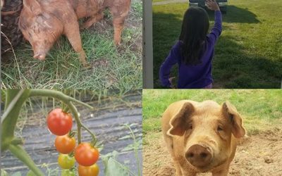 Tips For Perfectly Tender Grass-Fed Beef