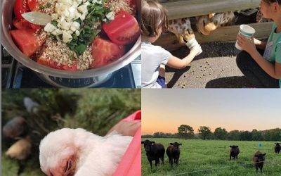 This Week Round’ The Farm & A Super Simple Salsa Recipe To Beat This Heat!!