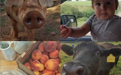 Weekly Farm Happenings and How To Get Kids To Try A New Food!