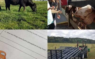This Week Round’ The Farm – 09/29/2019