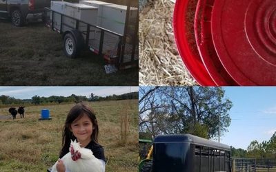 This Week ‘Round The Farm – 10/21/2019
