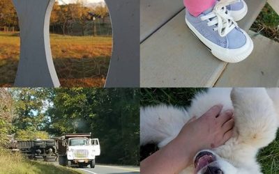This Week ‘Round The Farm – 10/27/2019