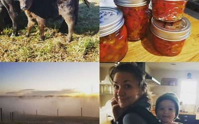 This Week ‘Round The Farm – 11/03/2019