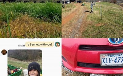 This Week ‘Round The Farm – 11/25/2019