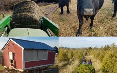 3 Day Sale!! – This Week ‘Round The Farm – 12/01/2019