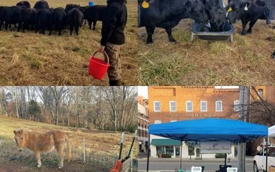 This Week ‘Round The Farm – 12/08/2019