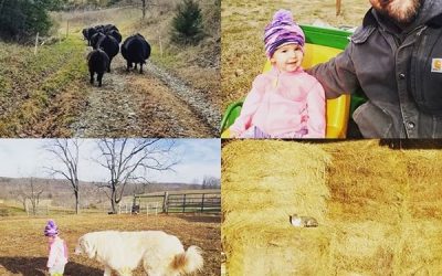 This Week ‘Round The Farm – 12/29/2019