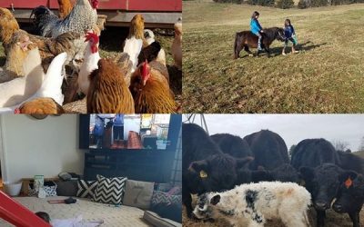 This Week ‘Round The Farm – 01/12/2020