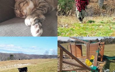 This Week ‘Round The Farm – 02/09/2020