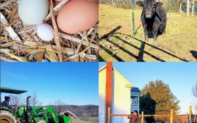 This Week ‘Round The Farm – 02/23/2020