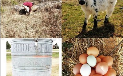 This Week ‘Round The Farm – 03/08/2020