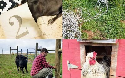 This Week ‘Round The Farm – 04/01/2020