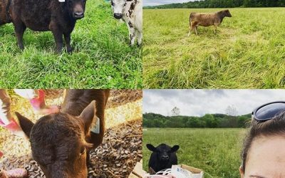 This Week ‘Round The Farm – 05/31/2020