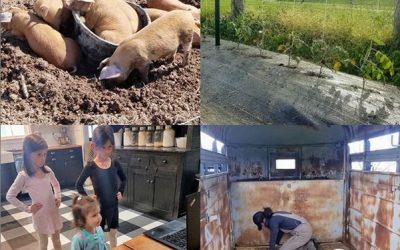 This Week ‘Round The Farm – 05/07/2020