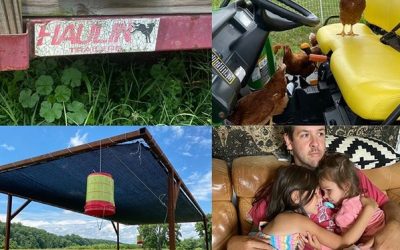 This Week ‘Round The Farm – 07/03/2020