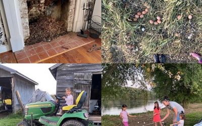 This Week ‘Round The Farm – 10/25/2020