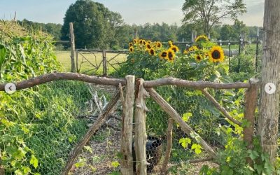 This Week ‘Round The Farm – 08/08/2021