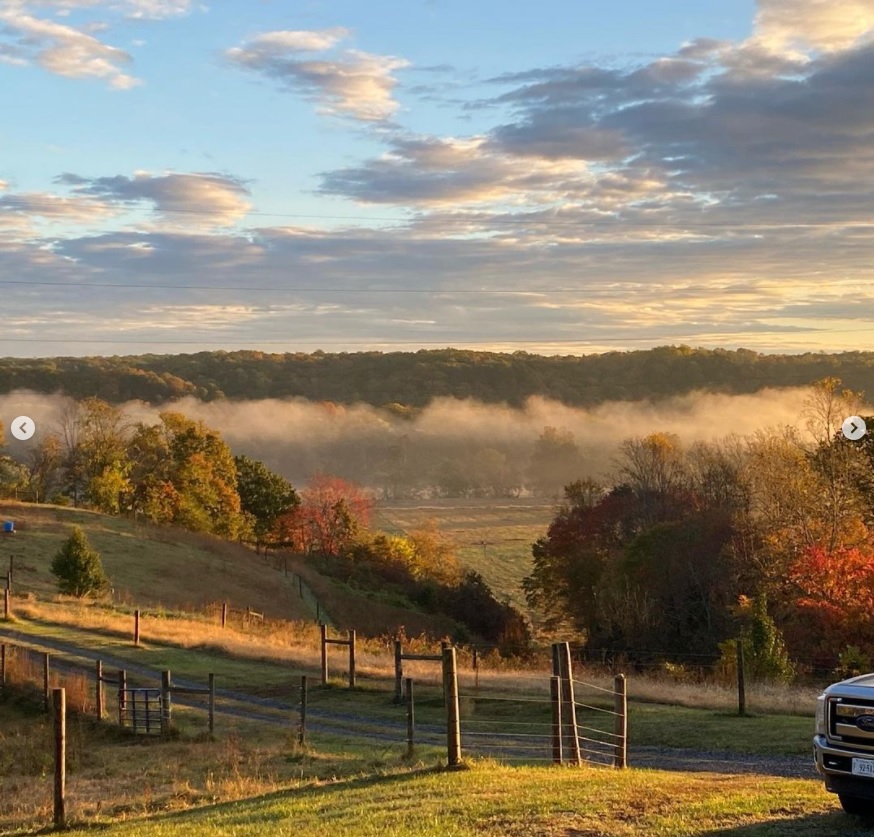 Fall Morning