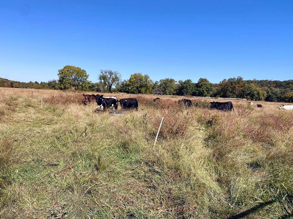 This Week ‘Round The Farm – 10/18/2022