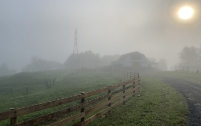 This Week ‘Round The Farm – 07/26/2023