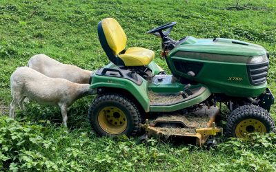This Week ‘Round The Farm – 08/02/2023