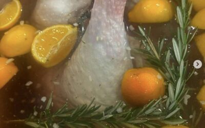 Three Delicious Ways to Enjoy Your Leftover Holiday Turkey 🦃