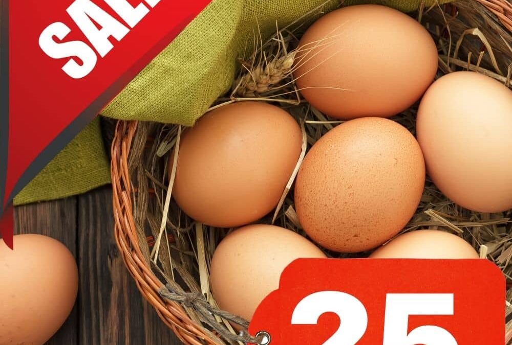 🥚 25% Off Egg Sale! + Beef Restock + Chicken Coming Soon!