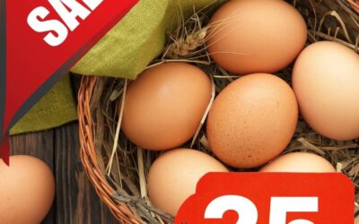 🥚 25% Off Egg Sale! + Beef Restock + Chicken Coming Soon!