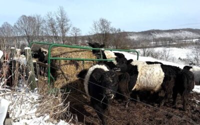 Thanks for an Amazing 2025!