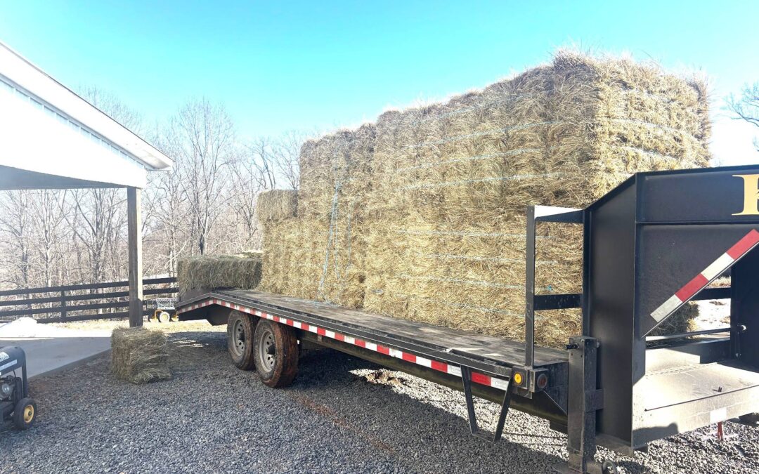 We’re Still Here and Here’s What’s Going On