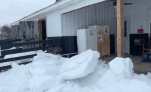 Large chunks of ice from the barn roof